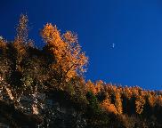 精神长河